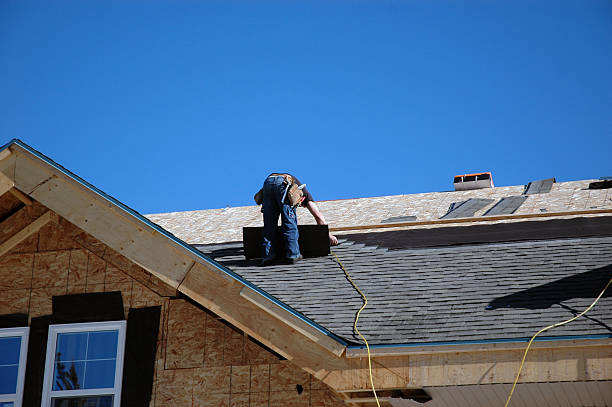 Best Roof Gutter Cleaning  in Richland, MS